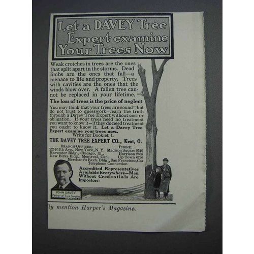 1913 Davey Tree Expert Ad - Examine Your Trees Now