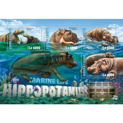 SIERRA LEONE 2016 SHEET MNH HIPPOS HIPPOPOTAMUSES WILDLIFE MARINE LIFE 3