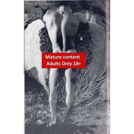Go Guys, Two, Physical Pictorial (Physique) & Drum vintage gay magazines. Mature