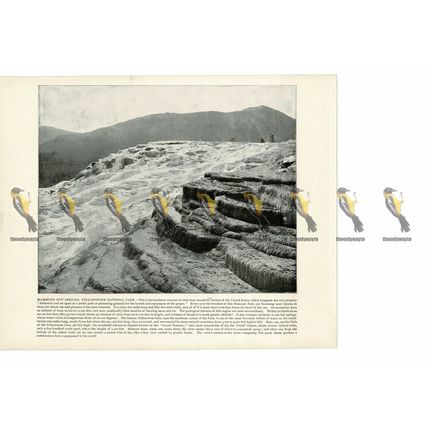 Mammoth Hot Springs, Yellowstone, USA, Book Illustration (Print), 1899