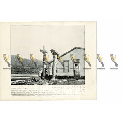 Totem Poles, Alaska, USA, Book Illustration (Print), 1899