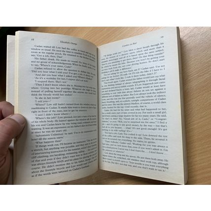 2009 ELIZABETH GEORGE "CARELESS IN RED" INSP. LYNLEY FICTION PAPERBACK BOOK (P3)