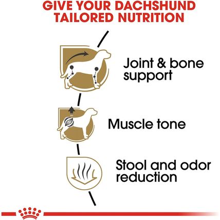 Royal Canin Dachshund Adult Breed Specific Dry Dog Food, 10 Lb Bag