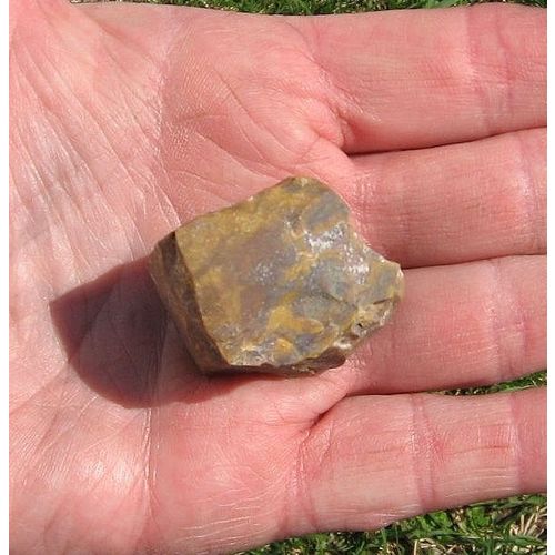 B Petrified Wood Raw Stone 1/5 Inch Metaphysical Meditation Energy Work