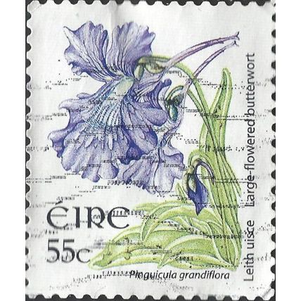 EIRE, FLOWER, Butterwort, Pinguicula grandiflora, white 2007, 55c