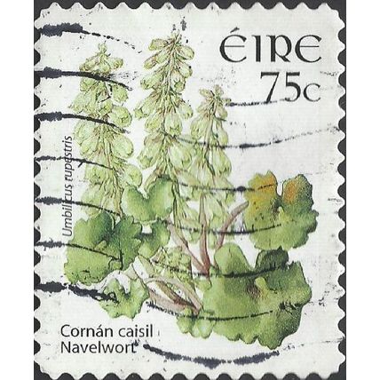EIRE, FLOWER, Navelwort, Umbilicus rupestris, adhesive, white 2006, 74c