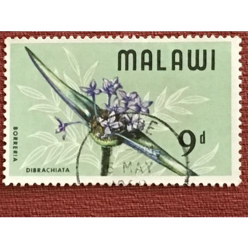 Malawi 1968 Wild Flowers 9d borreria dibrachiata Used SG 296 Sc 84 postage stamp