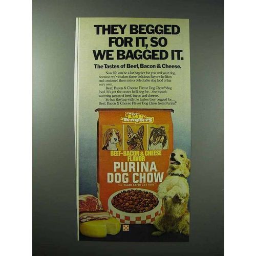 1977 Purina Dog Chow Dog Food Ad - They Begged