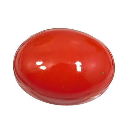 Natural Italian Red Coral 57.85 Ct Oval Cabochon Cut Loose Gemstone Top Quality