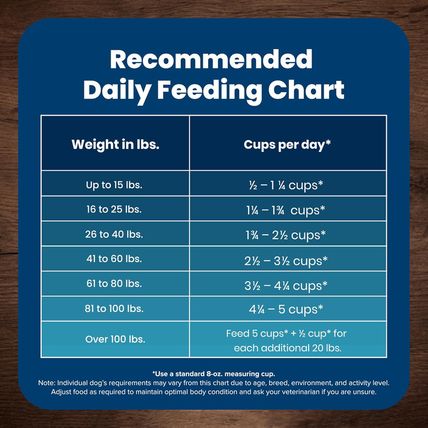 Blue Buffalo Life Protection Formula Adult Dry Dog Food, Helps Build and Maintai