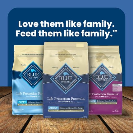 Blue Buffalo Life Protection Formula Adult Dry Dog Food, Helps Build and Maintai