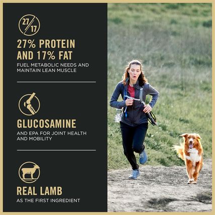Purina Pro Plan High Protein Dog Food, Small Bites, SPORT 27/17 Lamb and Rice Fo