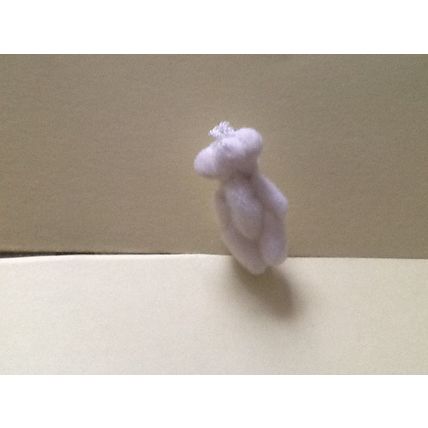 Creamy White Teddy - Miniature