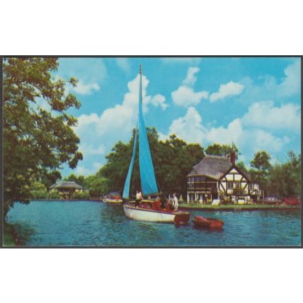 Riverside Bungalows, Wroxham, Norfolk, c.1960s - Photographic Greeting Card PC