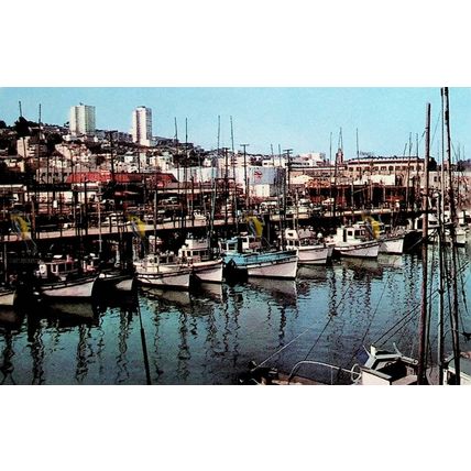 Fishing Boats At Anchor, Fishermans Wharf, San Francisco, USA, 103 Postcard,