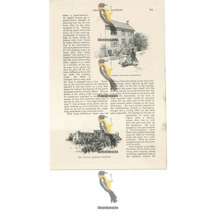 Stonewall Jackson Dwelling & Virginia Military Inst USA, Book Illustration, 1891