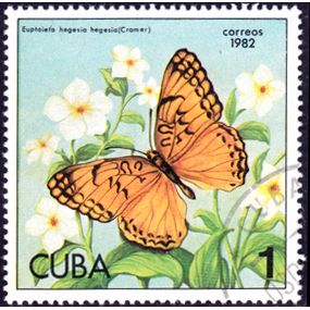 Cuba 1982 Butterfly 1c Stamp