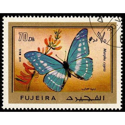 Fujeira 1971 Butterfly Air Mail 70D Used Stamp