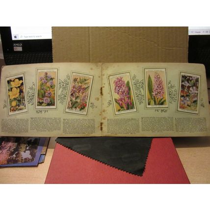 WILD FLOWERS album of cigarette cards by W.D. & H.O. Wills 1936 #
