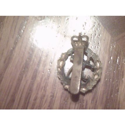 Medallion clip on coat of arms