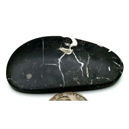 Black Septarian Freeform Gemstone Cabochon 470