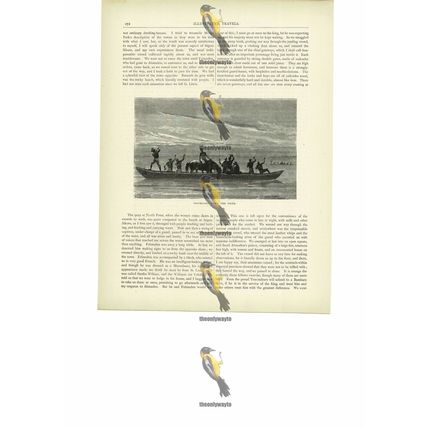 Travelling Down The Niger, Africa, Book Illustration (Print), c1880