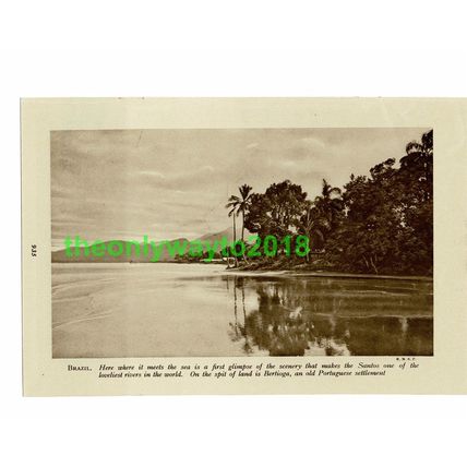 Bertioga, Santos, Brazil, Book Illustration, c1920