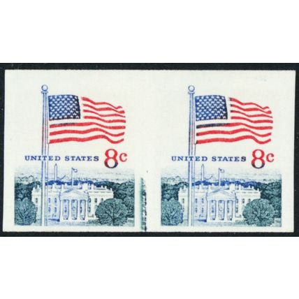 1338G, MNH 8¢ Imperforate Freak Error Pair - Stuart Katz