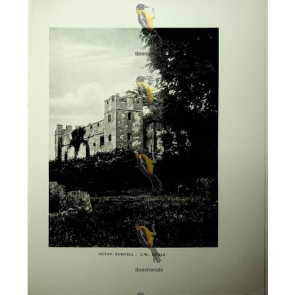 Stokesay Castle Northern Tower & Acton Burnell Hall, Book Illustration, 1926
