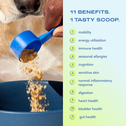 Native Pet Dog Vitamins & Supplements - 11-In-1 Multivitamin Powder for Dogs Foo