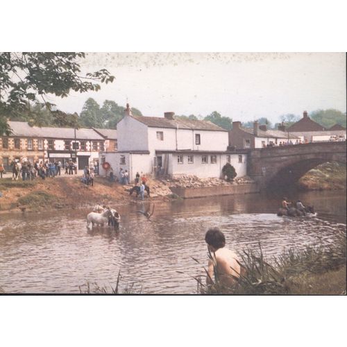Gypsies & Horses, River Eden, Appleby-in-Westmorland, Cumbria
