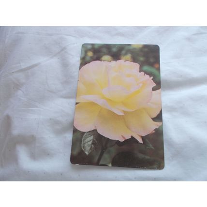 WEBBS GARDENING CARD /HYBRID TEAROSES (21/12)