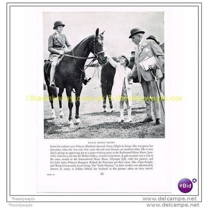 ROYAL HORSE SHOWS, Book Illustration, 1953