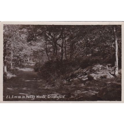 B684 GRINDLEFORD -IN PADLEY WOODS . R/P POSTCARD