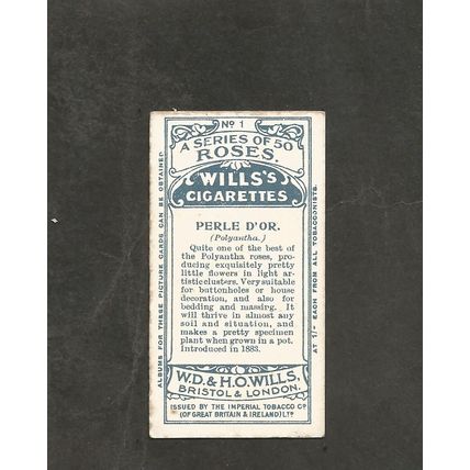 Cigarette Card Wills Roses 1913 2nd series #1 Perle D'Or