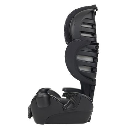 Evenflo Gotime LX Booster Car Seat (Chardon Black)