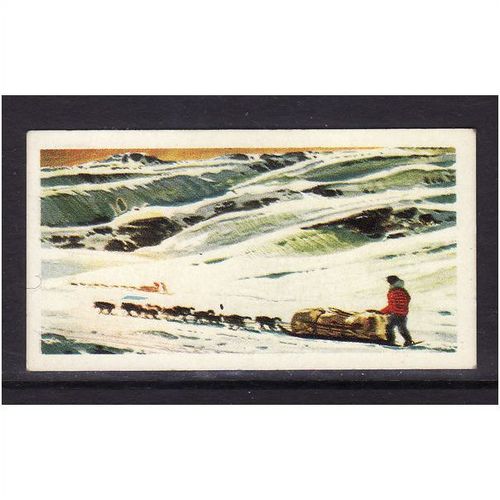 Brook Bond TRANSPORT THROUGH THE AGES No 3 Dog Sledge Mint