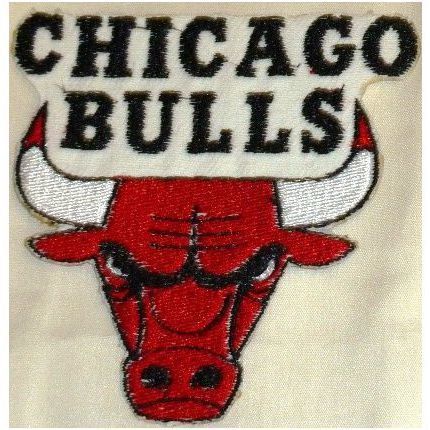 Chicago Bulls Logo Iron On Patch