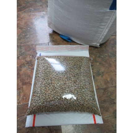 5 LB Green Unroasted Coffee Beans Guatemala GESHA GEISHA Fancy SHB EP MICROLOT
