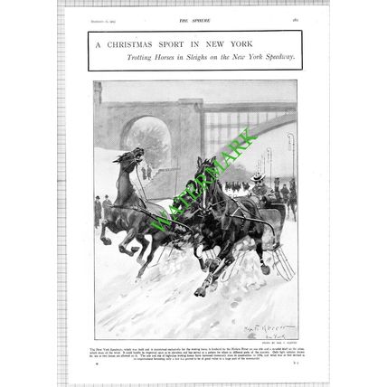 New York Speedway Trotting Horses - 1903 News Page / Print