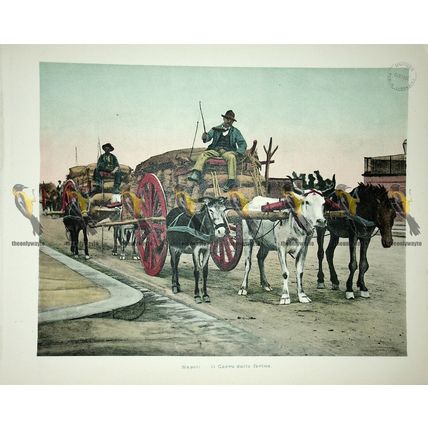 Naples, Flour Wagon, Italy, Book Illustration (Print), 1899