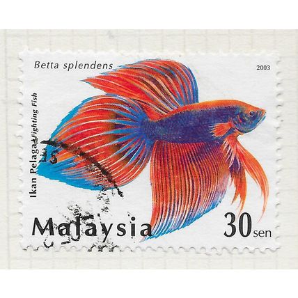MALAYSIA 2003 SIAMESE FIGHTING FISHES FISH 30s VALUE USED