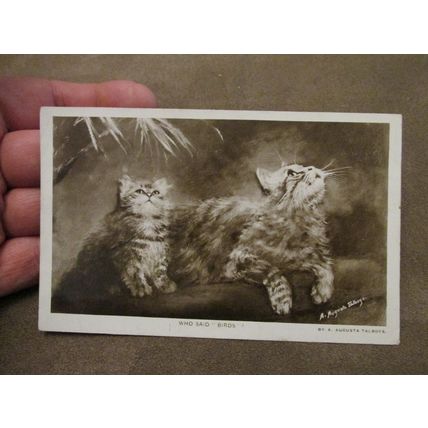 1913 fr real photo Postcard - Kittens / cats - "Who said Birds" Augusta Talboys