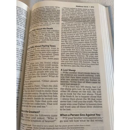 ICB Frost Bible by Tommy Nelson Hardcover International Children's Bible