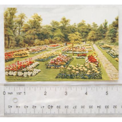 1960s postcard New Rose Garden, Hesketh Park, Southport