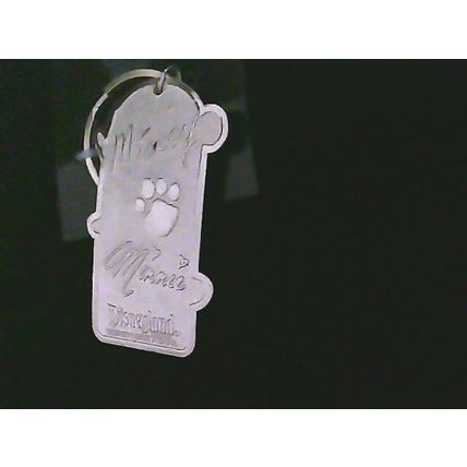 Walt Disneyland Resort Keychain Charm Mickey Minnie Pluto