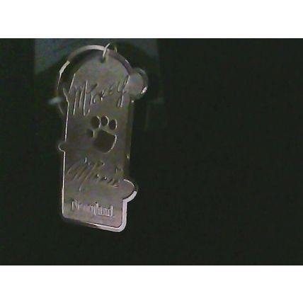 Walt Disneyland Resort Keychain Charm Mickey Minnie Pluto