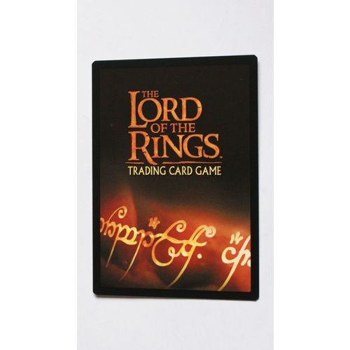 Lord of the Rings CCG Fellowship # 311 Sam, Son of Hamfast (A) 2001 decipher
