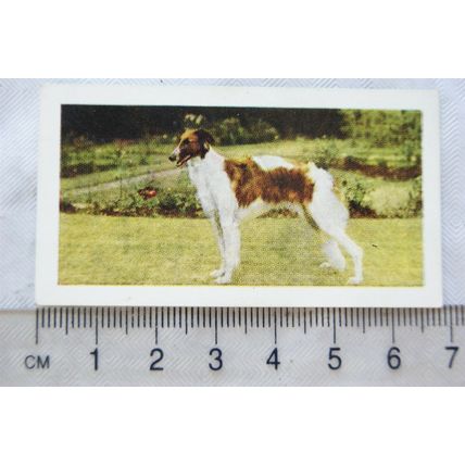 1961 Hornimans Tea Dogs No. 5 Borzois