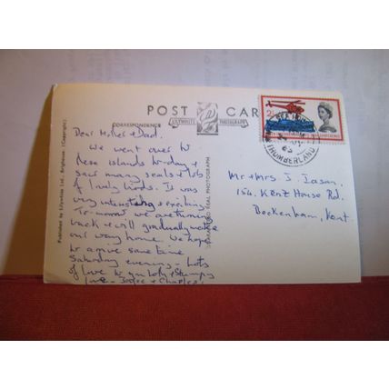 YOUNG SEALS, THE FARNE ISLANDS used postcard RP 1963 postmark.. #